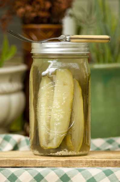 Hungarian Summer Dill Pickles Recipe