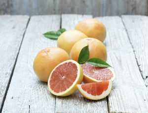 A Complete Guide to Citrus Fruits