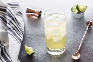 15 Snappy Ginger Beer Cocktails