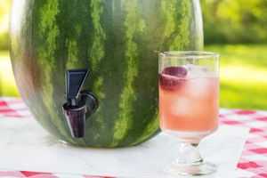 How to Make a Watermelon Keg