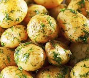 15 Delicious Side Dishes for Fish