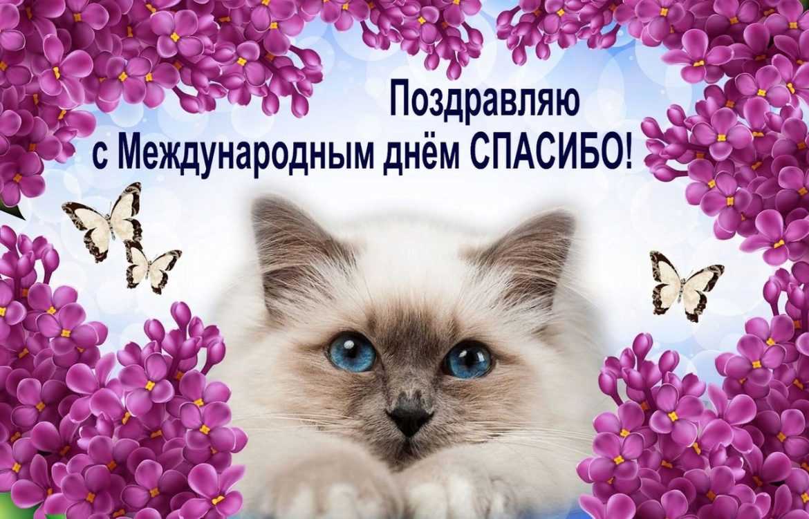 Хорошей среды, друзья! СЕГОДНЯ, 11 ЯНВАРЯ: -Интернациональный денек «Спасибо» -Денек кофейных грёз -Денек потаенного…