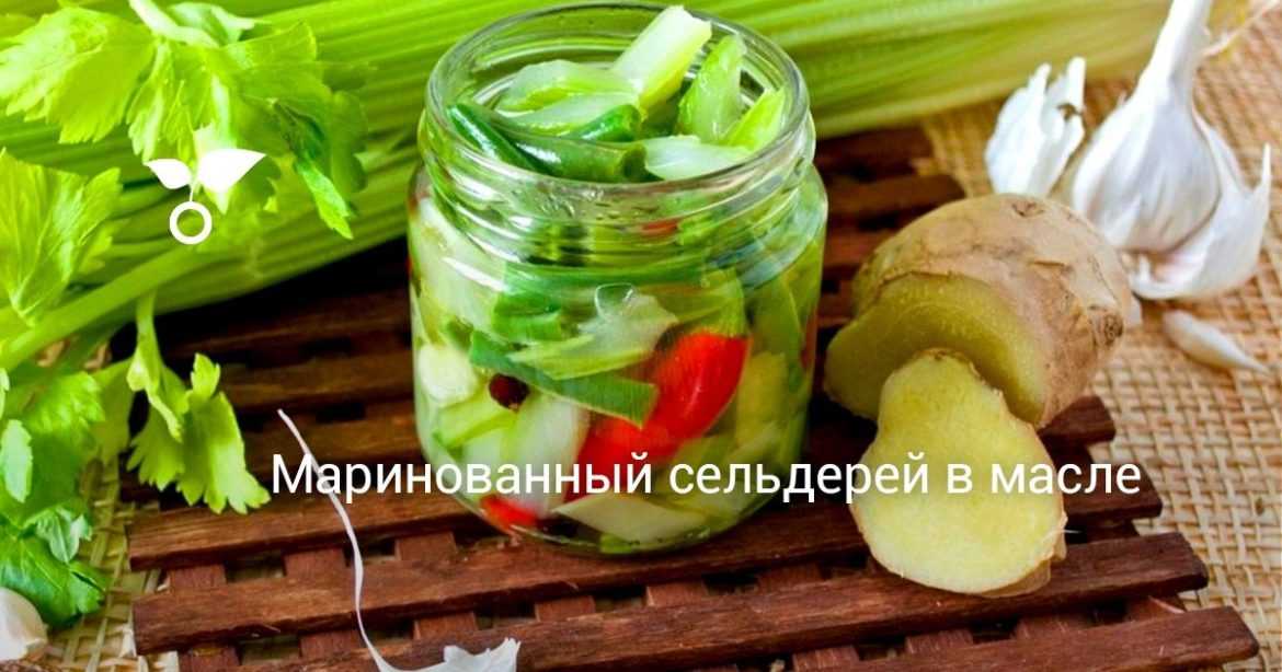 Свежайшая и уникальная закуска – маринованный сельдерей в масле. Куски овощей получаются кисло-сладко-солёными, что…